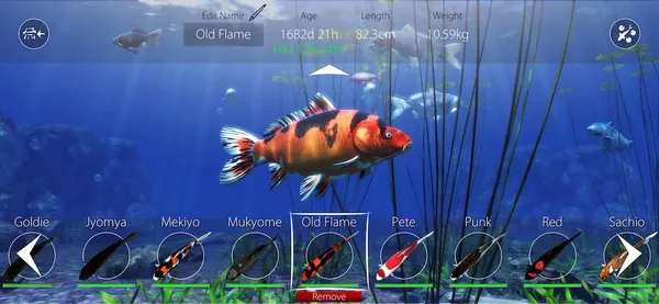 game bắn cá - Fishing Strike